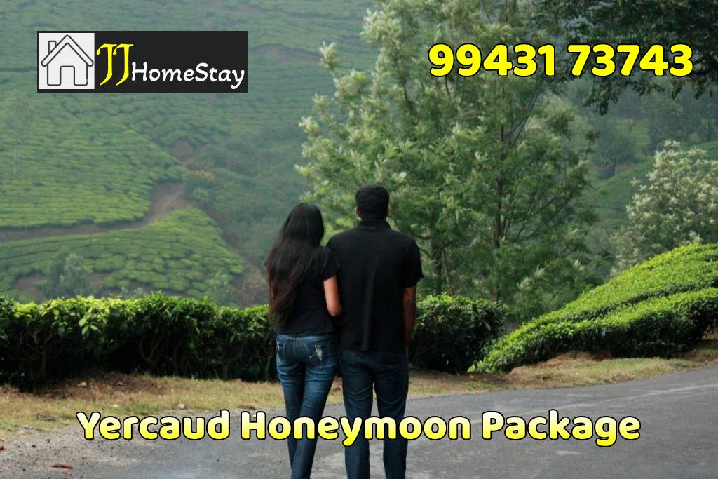 Yercaud Honeymoon Package