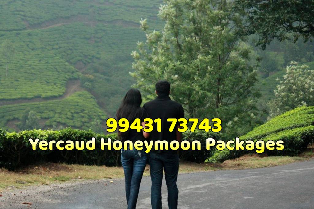 Yercaud Honeymoon Packages