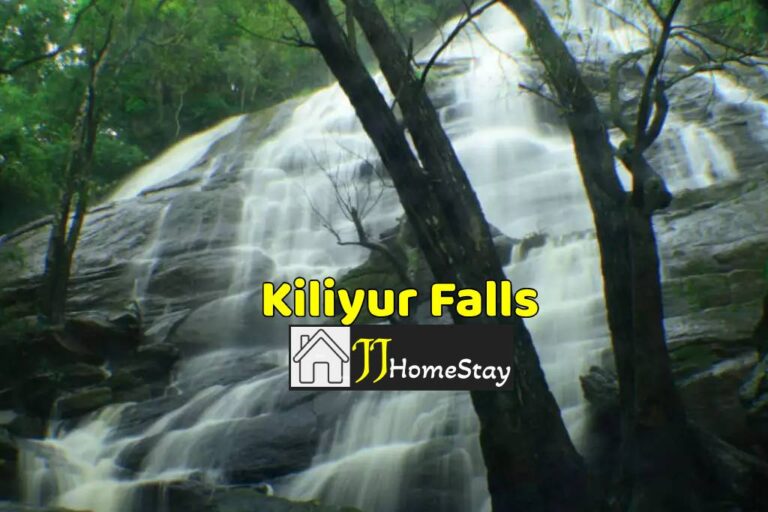 Kiliyur Falls in Yercaud