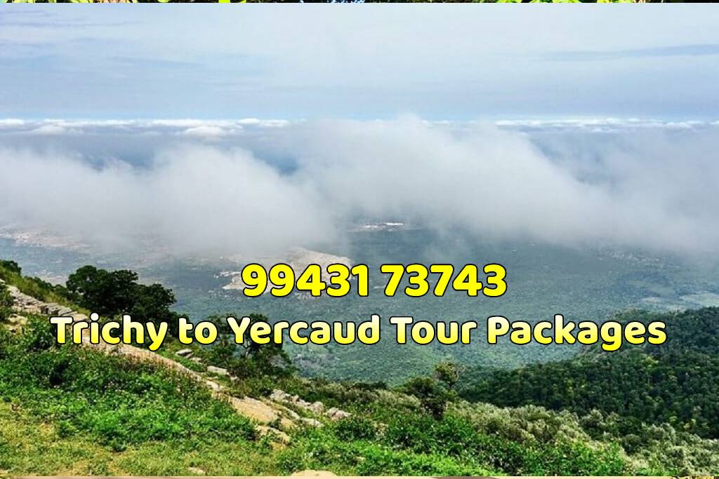 Trichy to Yercaud Tour Packages